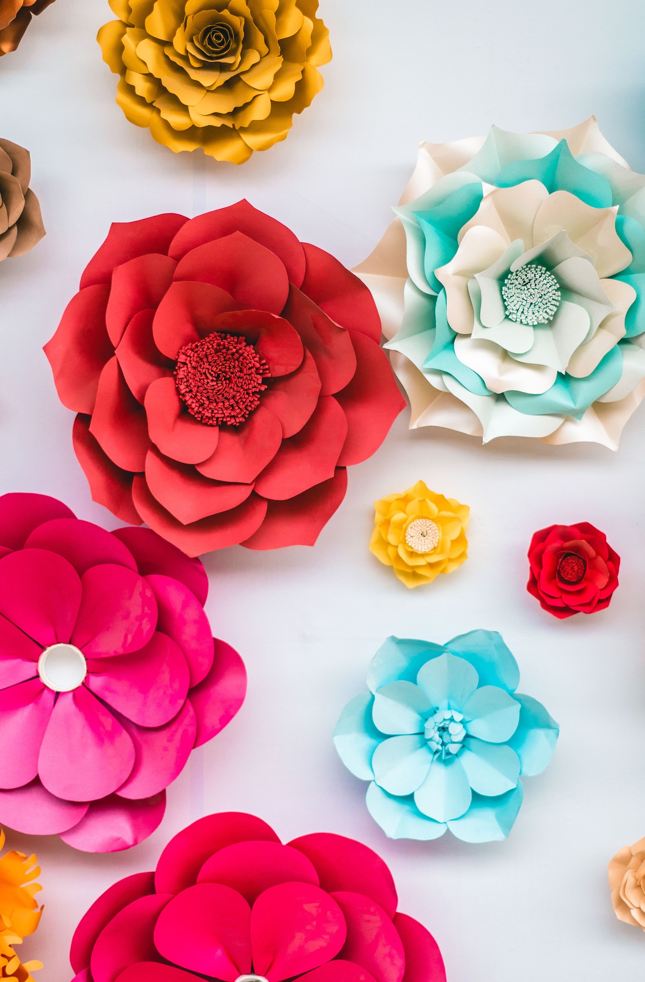 Colorful decorative flowers